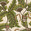 Papier peint Bush Baby Cole and Son Stone S119-7032