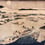 Carta da parati murale La rivière Yudogawa Etoffe.com x Agence Musées Nationaux Beige 00-017721