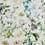 Le Bouquet Fabric Étamine Pesto 19574474