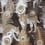 Papel pintado Leopardo Matthew Williamson Black/Metallic antique gold/Taupe W6805-02