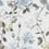 Tapete Couture Rose Designers Guild Graphite PDG711/05