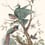 Oiseau de Paradis Gauche Panel Edmond Petit Sépia RM148-03