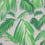 Papel pintado Tropicana Matthew Williamson Grasse/Pebble W6801-02