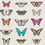 Papilio Wallpaper Harlequin Flamingo/Papaya/Olive HAMA111079