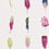 Papier peint Limosa Harlequin Longanberry/Raspberry/Olive HAMA111076