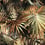 Les Marquises Outdoor Fabric Jean Paul Gaultier Mordore 3490-01