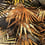 Tapete Polynesie Outdoor Jean Paul Gaultier Mordore 3344-01