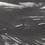 Papier peint panoramique Marine Xray Metallics Coordonné Onyx A00144