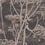 Papel pintado Cow Parsley Restyled Cole and Son Chocolat 66/7048