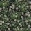 Papier peint Cornflower Rifle Paper Co. Black RP7384