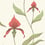 Papier peint Orchid Restyled Cole and Son Rouge 95/10054