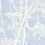 Papier peint Cow Parsley Cole and Son Bleu frisson 66/7050