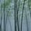 In The Bamboo Panel Walls by Patel Blue DD122104
