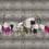 Land of Happiness Panel Walls by Patel Grey DD122996