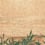 Papier peint panoramique Akita Nobilis Lichen PAN111