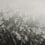 Papier peint panoramique English Garden Tres Tintas Barcelona Grey JO1006-3