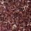 Revêtement mural Jardin des Roses SuperOrganic by Oberflex Ecarlate panneau-jardin-des-roses