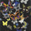 Papier peint  Butterfly Parade Christian Lacroix Oscuro PCL008/02