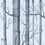 Papel pintado Woods Cole and Son Soot on Foil 69/12150