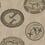 Matrinah Wallpaper Cole and Son Beige/Doré 109/4020