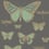 Papel pintado Butterflies and Dragonflies Cole and Son Charbon/Vert 103/15067