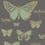 Papier peint Butterflies and Dragonflies Cole and Son Charbon/Vert 103/15067