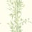 Bamboo Wallpaper Cole and Son Vert 100/5023