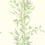 Papier peint Bamboo Cole and Son Vert 100/5023