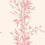 Bamboo Wallpaper Cole and Son Rose 100/5024