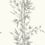 Bamboo Wallpaper Cole and Son Beige 100/5025