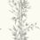 Papel pintado Bamboo Cole and Son Beige 100/5025