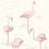 Flamingos Restyled Wallpaper Cole and Son Rose 95/8045