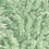 Florencecourt Wallpaper Cole and Son Vert 100/1002