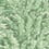 Tapete Florencecourt Cole and Son Vert 100/1002