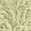 Tapete Florencecourt Cole and Son Jaune 100/1003