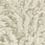 Florencecourt Wallpaper Cole and Son Beige 100/1005