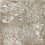 Gres porcellanato I Variegati 1 Fioranese Argilla IV208R