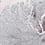 Racine Wall Covering Wall&decò Macaron WET_RA1802