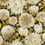 Papier peint Dahlia Harlequin Fig Blossom/Nectar/Black Earth HQN2112846