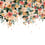Papier peint panoramique Lush Flowers Lilipinso Multicolore H0656