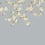 Rosa Panel Harlequin Feather Grey/ Paper Lantern/Oyster HDHW112888