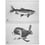 2 Janïs Rautu geschirrtücher Set Lapuan Kankurit Graphite 14297 et 14097