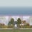 Reverie Panel Cole and Son Dusk 120/4010