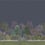 Reverie Panel Cole and Son Tanzanite 120/4013