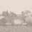 Idyll Panel Cole and Son Platinum Matte 120/1002