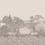 Idyll Panel Cole and Son Platinum Pearl 120/1002M