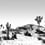 Panoramatapete Arizona Edito Noir/Blanc PP1N