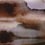 Carta da parati murale Iron Casamance Brun Chocolat 73460153