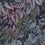 Plante Life Wallpaper Montecolino Noir 91362