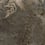 Papier peint panoramique Jungle Montecolino Monochrome RM300398